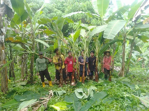 PETANI